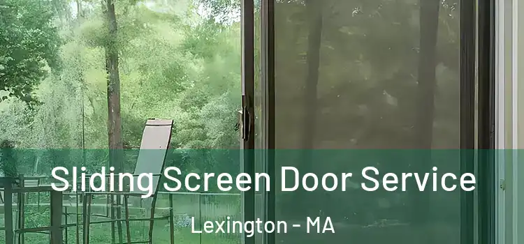 Sliding Screen Door Service Lexington - MA